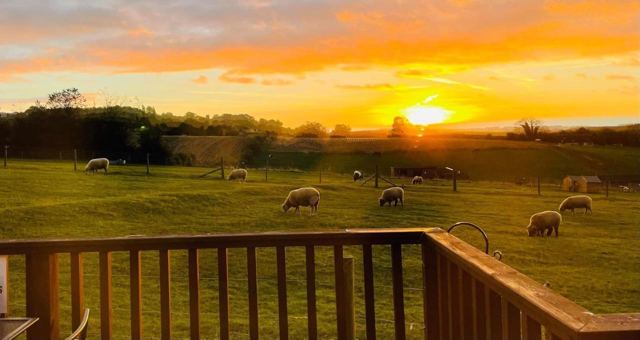 Fairview Farm Holiday Accommodation 14 Luxury Lodges, Cabins, Dog Friendly, Suitable For Couples, Families And Groups, Wedding Guests , Corporate Events, Sleeps 2-65 Guests In Ravenshead, Nottingham Near Sherwood Forest, Set In 88 Acres Exterior photo