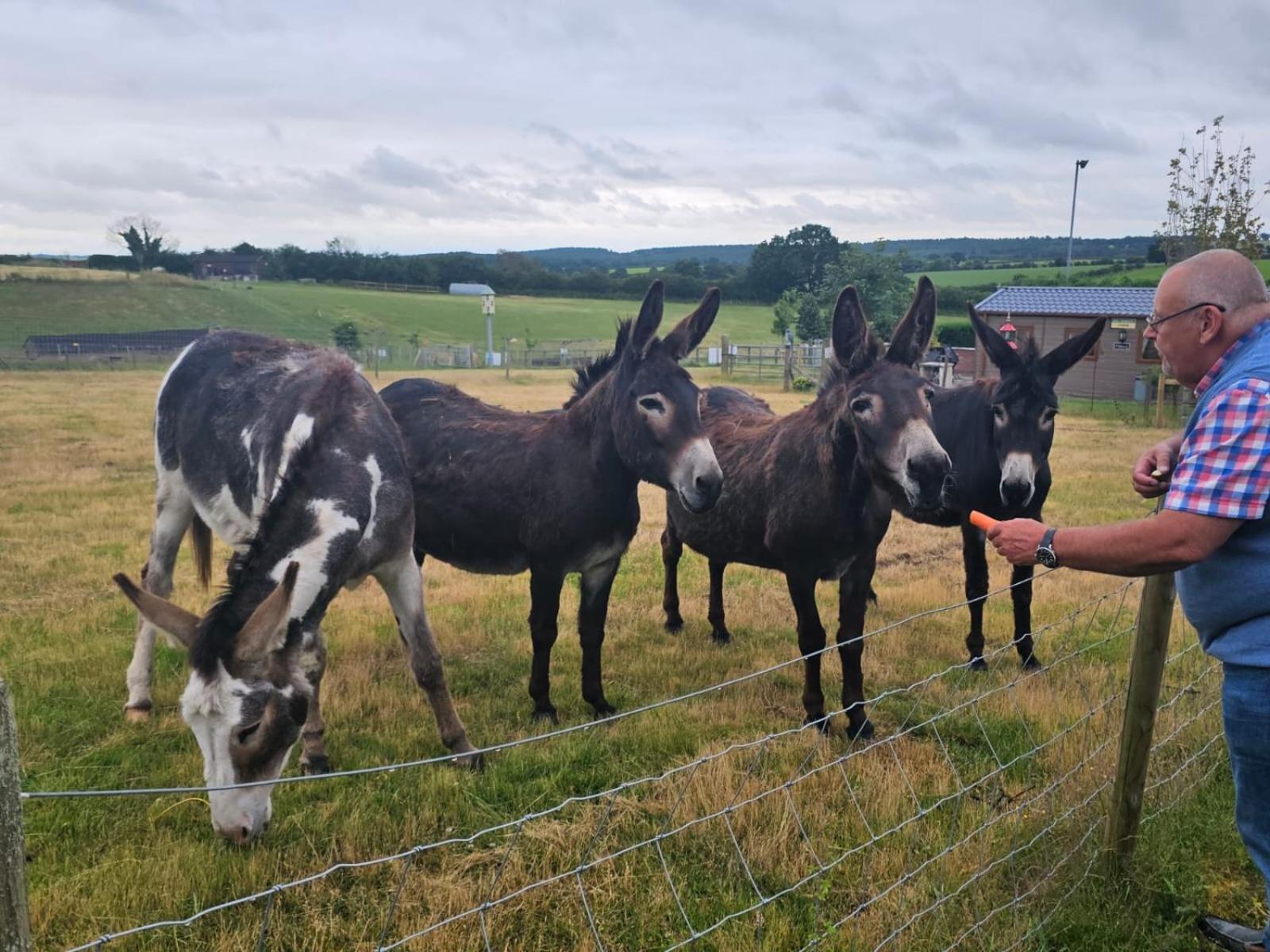 Fairview Farm Holiday Accommodation 14 Luxury Lodges, Cabins, Dog Friendly, Suitable For Couples, Families And Groups, Wedding Guests , Corporate Events, Sleeps 2-65 Guests In Ravenshead, Nottingham Near Sherwood Forest, Set In 88 Acres Exterior photo