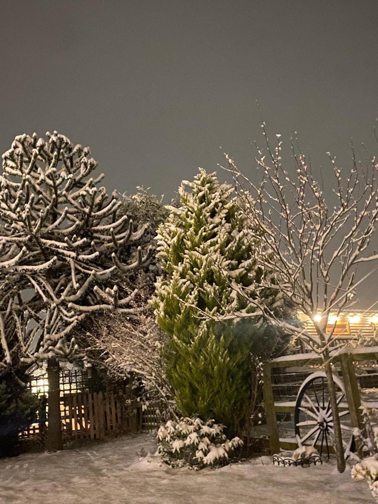 Fairview Farm Holiday Accommodation 14 Luxury Lodges, Cabins, Dog Friendly, Suitable For Couples, Families And Groups, Wedding Guests , Corporate Events, Sleeps 2-65 Guests In Ravenshead, Nottingham Near Sherwood Forest, Set In 88 Acres Exterior photo